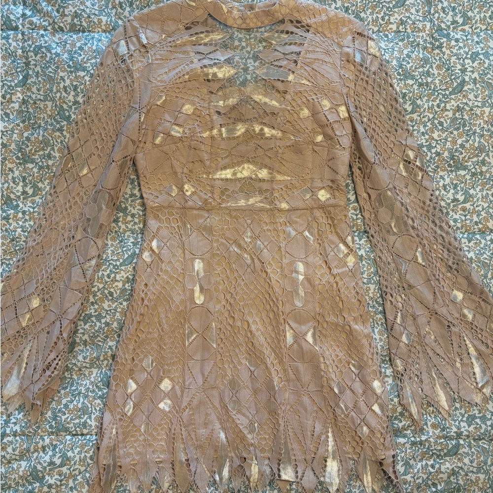 Free People Lace Long Sleeve Dress in Blush